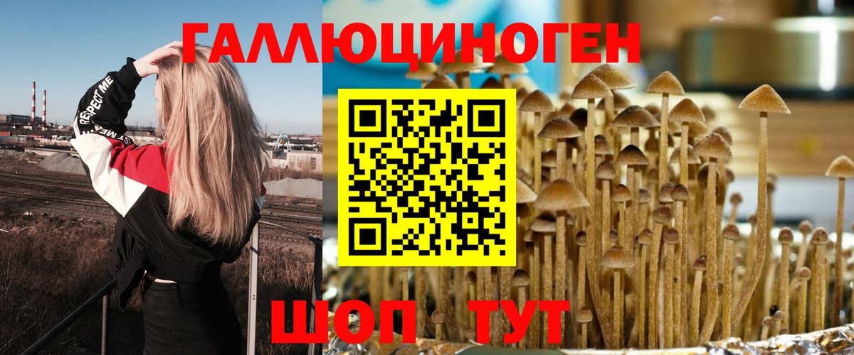 Псилоцибиновые грибы ЛСД Мытищи